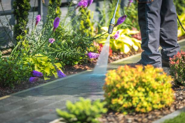 Best Dumpster Area Cleaning  in Willis, TX